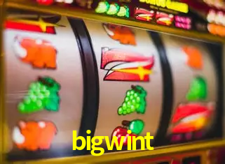 A Experiência Imersiva dos Cassinos Ao Vivo no bigwint