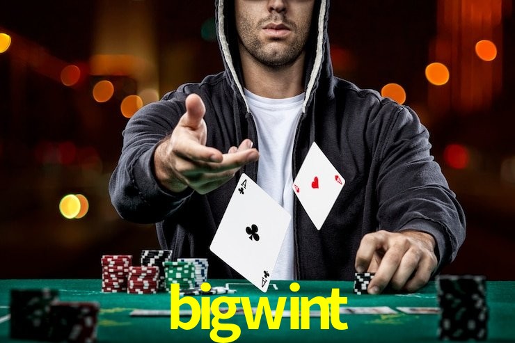 bigwint,bigwint.com
