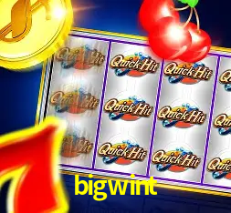 Descubra o Programa VIP da bigwint: Vantagens Exclusivas para Jogadores